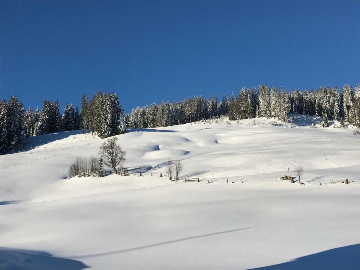 Bergpension Zinting Brixen im Thale Exteriér fotografie